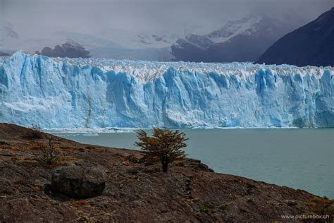 Perito Moreno, Argentina