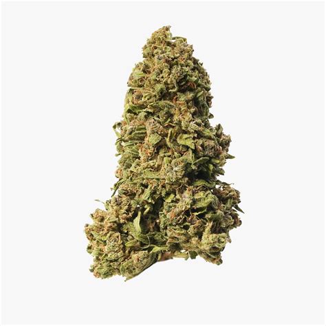 Susz Konopny Cbd Ak Cbd