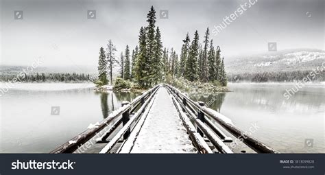 6,684 Jasper Winter Images, Stock Photos & Vectors | Shutterstock