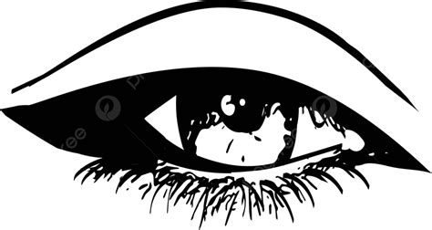 Female Eye Sketch Illustration Eye Beautiful Eyelashes Vector Eye Beautiful Eyelashes Png And