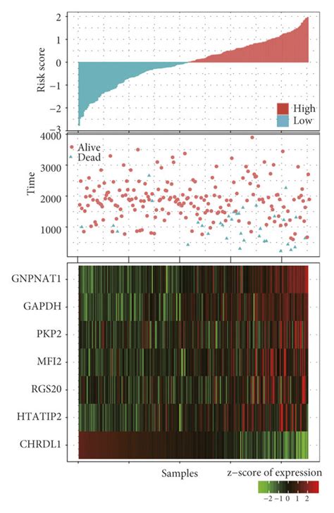 External Validation Of The Seven Gene Signatures Robustness In The