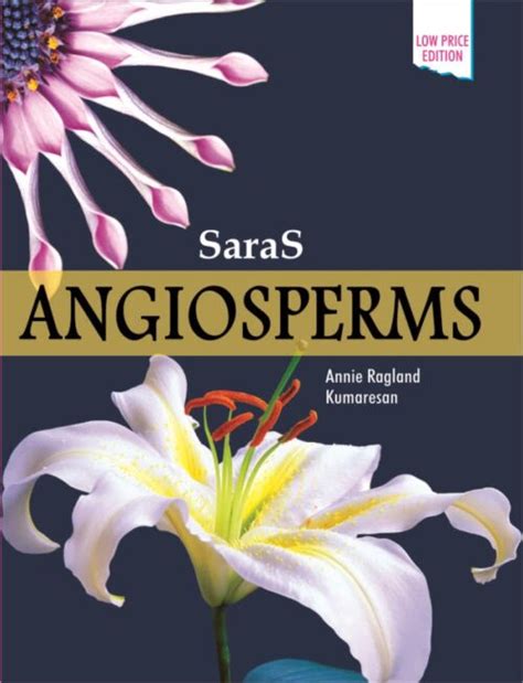 Taxonomy Of Angiosperms Taxonomy Systematic Botany Economic Botany