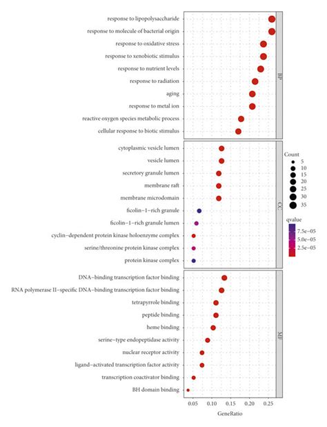 Go Analysis Of The Target Genes The Gene Ratio Refers To The Ratio Of