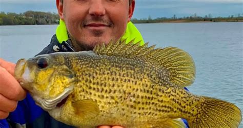 Rock Bass Fishing Unleash The Thrill And Mastery Of Catching