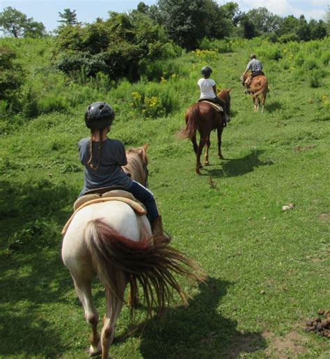 ROCKY RIDGE RANCH WELCOMES YOU!! - Rocky Ridge Ranch