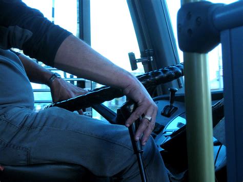 professional drivers license professional license requirements