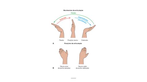 Como Recuperar Movimentos do Punho Medicina Ortopédica