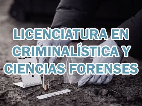 Criminalística Y Ciencias Forenses Universidades De Puebla