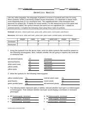 Genetics Basics Worksheet Ph Docx Name Phebe Hall Period Date