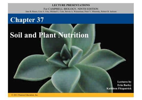 Soil And Plant Nutrition