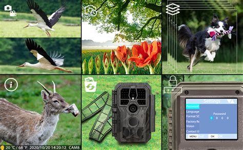 Amazon Gardepro E S Trail Camera Mp P Hd Video Game