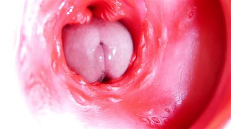Free Gay Asmr Porn Videos XHamster