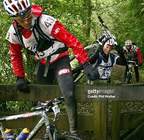 55 Halti Stock Photos, High-Res Pictures, and Images - Getty Images