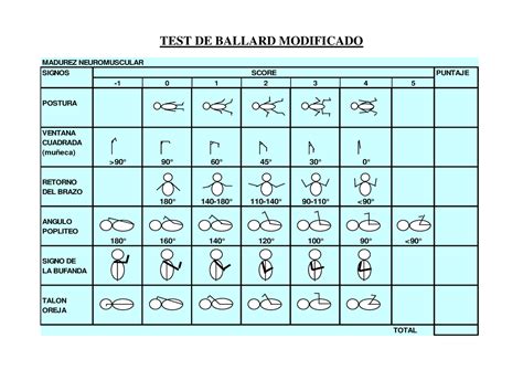 Archivos PARA Practica - TEST DE BALLARD MODIFICADO ####### MADUREZ ...
