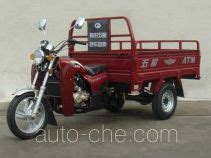 Foton Wuxing Cargo Moto Three Wheeler FT175ZH 7B Manufactured By Lovol