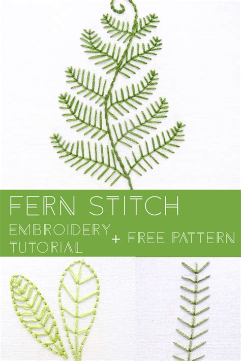 Learn The Fern Stitch Embroidery Technique