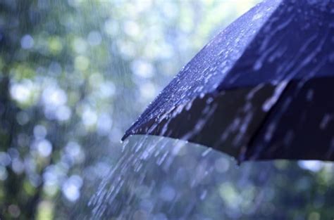 Chuva E Descida At Oito Graus Da Temperatura M Xima A Partir De Hoje