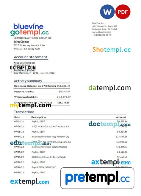 Usa Bluevine Bank Statement Months Word And Pdf Example Version