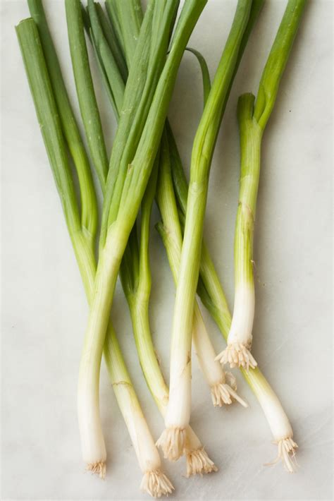 What Is A Scallion