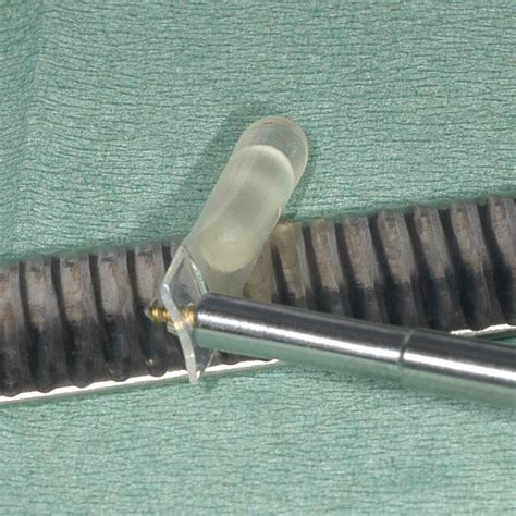 Osmed Hydrogel Soft Tissue Expander Before Insertion In Its Silicone Download Scientific