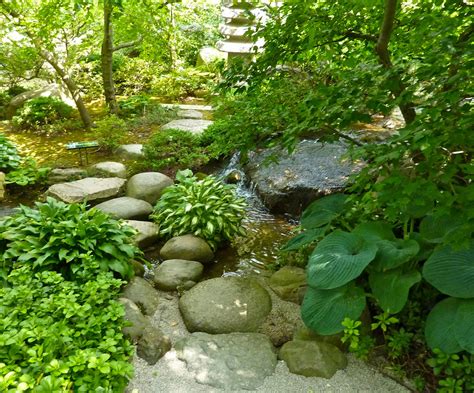 Garden of Reflection: Japanese Garden Streams