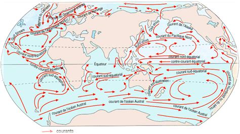 Courant Du Pacifique Nord