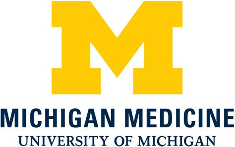 University Of Michigan Hospital Michigan Performance Excellence