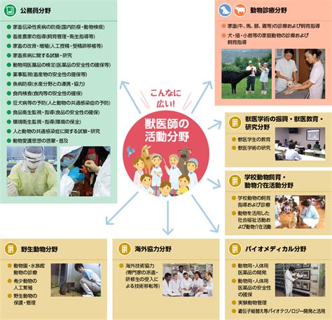 獣医師について 女性獣医師応援ポータルサイト