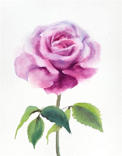 Original Watercolor Purple Rose Painting X Inches Etsy