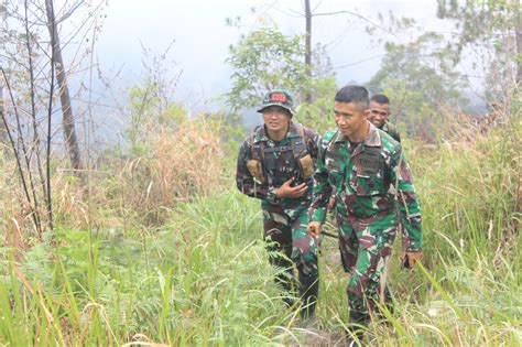 Ratusan Pasukan Langit Hijaukan Gunung Lawu Pasca Kebakaran Hutan Di