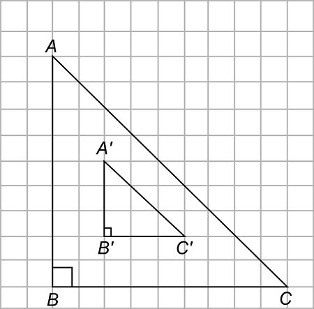 Determine The Scale Factor