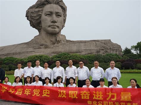 学习百年党史，汲取奋进力量 ——物业公司开展主题教育活动 基层动态 湖南楚湘建设工程集团有限公司