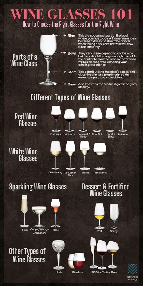 Infographic Types Of Wine Glasses Sizes Volume Height Compared Advanced Mixology