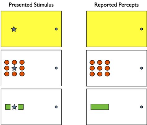 Finding Your Blind Spot and Perceptual Filling-in | Sensation and ...