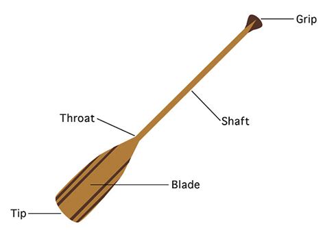 Parts Of A Canoe And Paddle