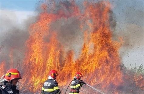 Newspascani Pa Cani T Rgu Frumos Ia I Un Incendiu De Vegeta Ie