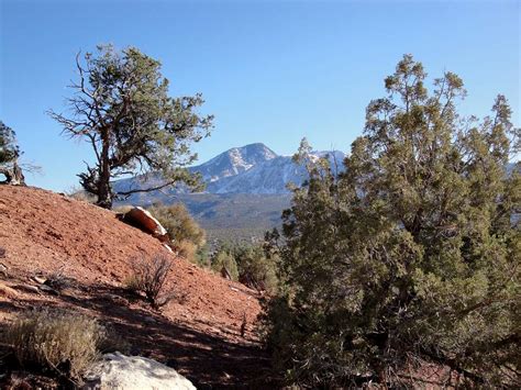 Ute Mountain Photos Diagrams And Topos Summitpost