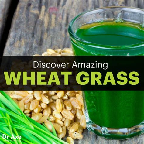 The Superfood That Boosts Immunity And Nutrient Absorption Wheat Grass