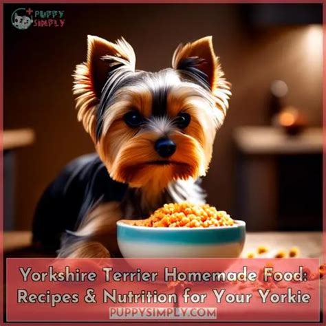 Yorkshire Terrier Homemade Food: Recipes & Nutrition for Your Yorkie