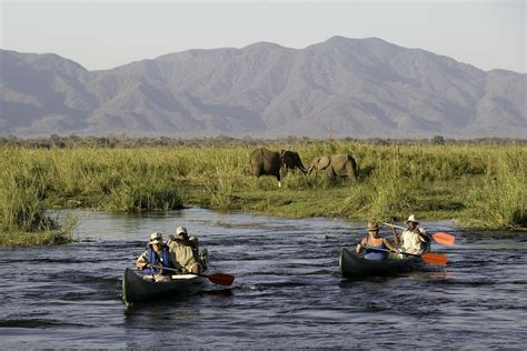 Day Arusha National Park Safari Tanzania Wildlife Safaris Tours