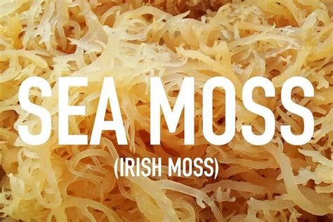 Irish Sea Moss Herb Powder Natural Botanical Nutrition