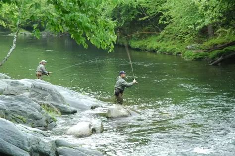 Top Reasons You Should Go Fishing In Cades Cove