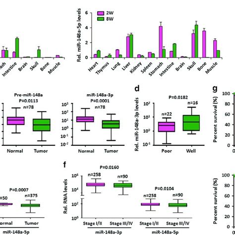 MiR 148a Is Downregulated In HCC And Low Expression Predicts Poor HCC