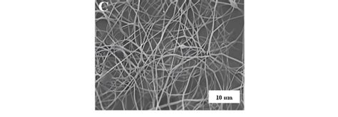 Sem Images Of Electrospun Lsl Pvp Nanostructures Obtained With