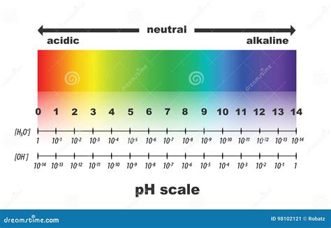 Scale Of Ph Value For Acid And Alkaline Solutions Stock Vector