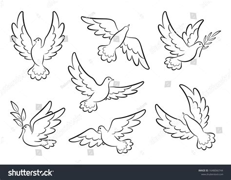 Flying Dove Sketch Vector Set Pigeons เวกเตอร์สต็อก ปลอดค่าลิขสิทธิ์