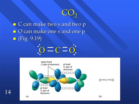 Sigma And Pi Bonds In Co2
