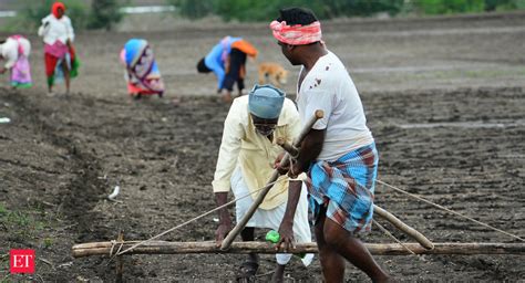 Rabi Sowing Begins Wheat Planted In Lakh Hectare So Far