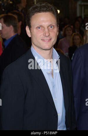 Tony Goldwyn Last Samurai