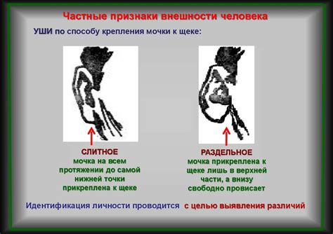 Идентификация личности - презентация онлайн